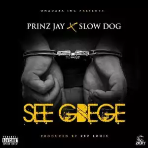 Prinz Jay - See Gbege ft. Slow Dog